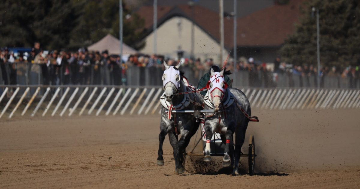 American Chariot Racing | Visit Ogden