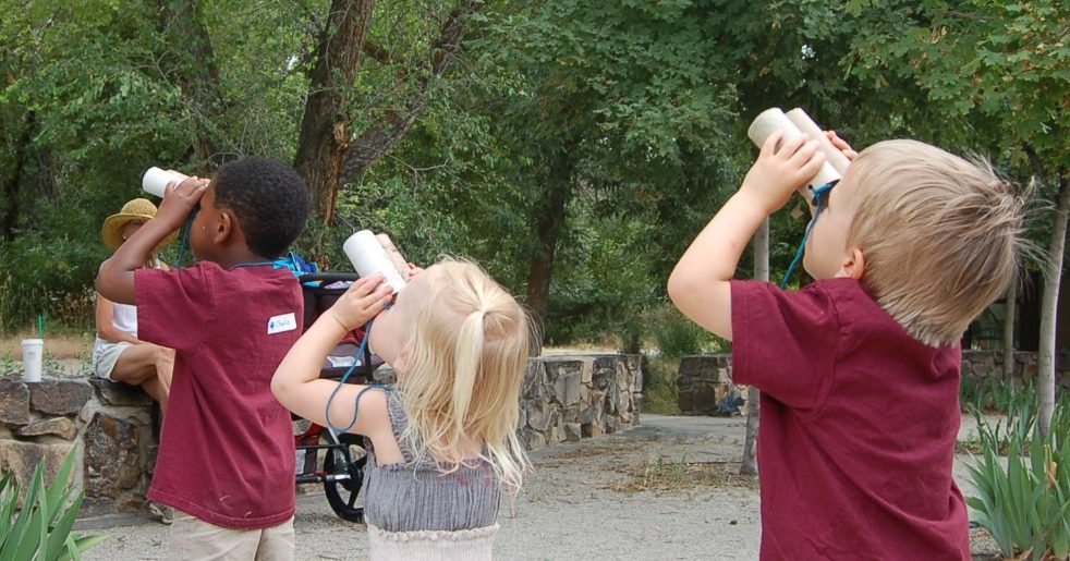 Kneehigh Naturalists Fair Feathered Friends Visit Ogden
